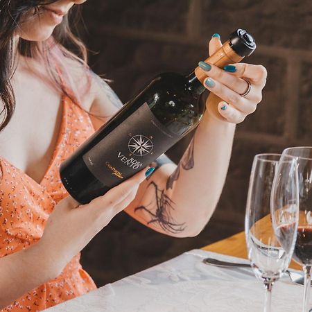 Villa Vinicolla Hospedagem Conceito 벤투곤살베스 외부 사진