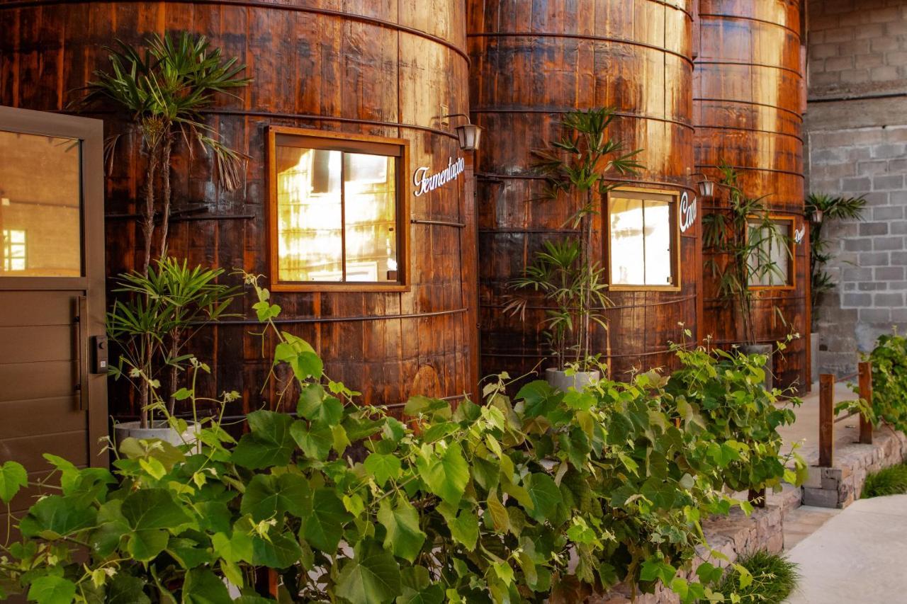 Villa Vinicolla Hospedagem Conceito 벤투곤살베스 외부 사진