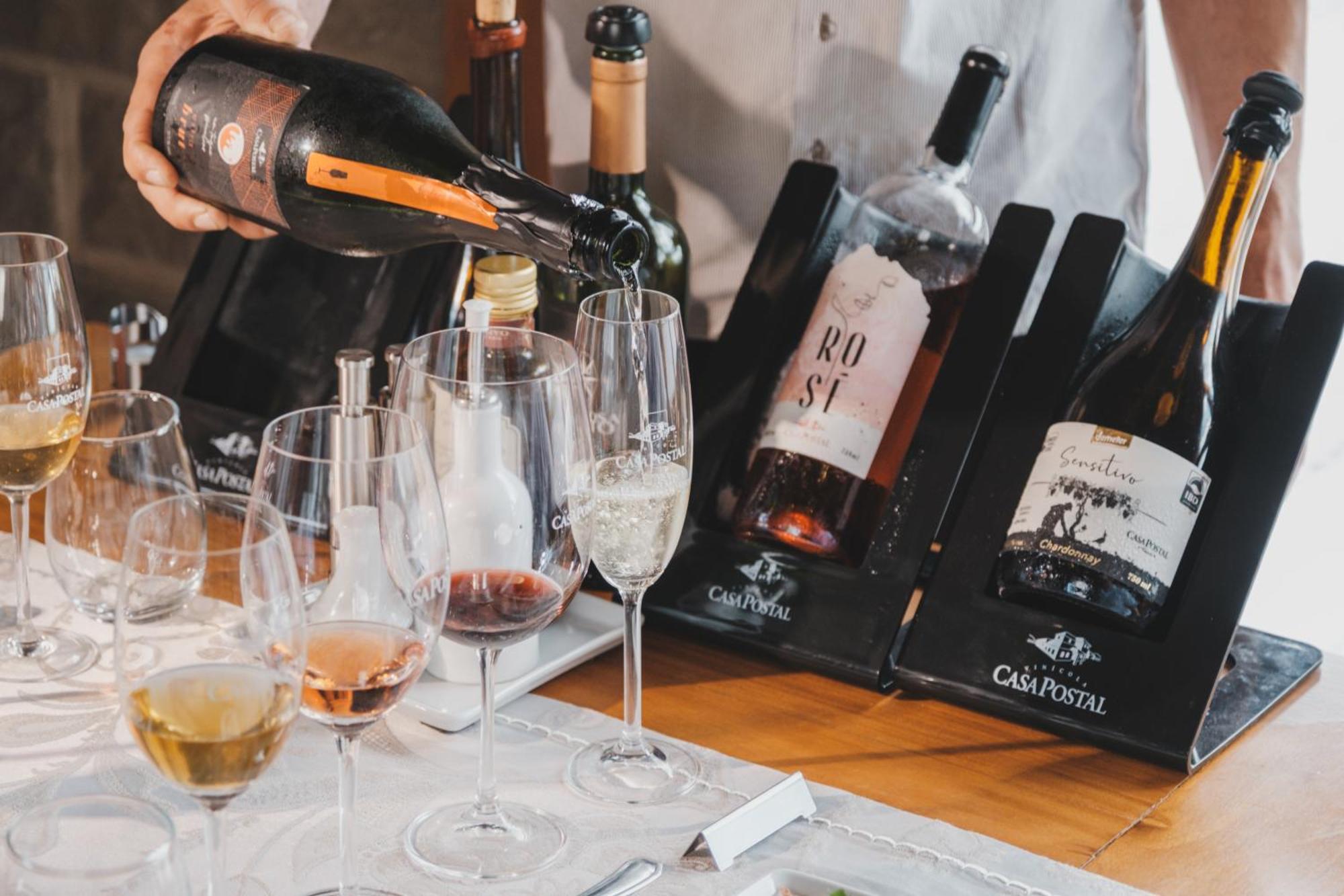 Villa Vinicolla Hospedagem Conceito 벤투곤살베스 외부 사진