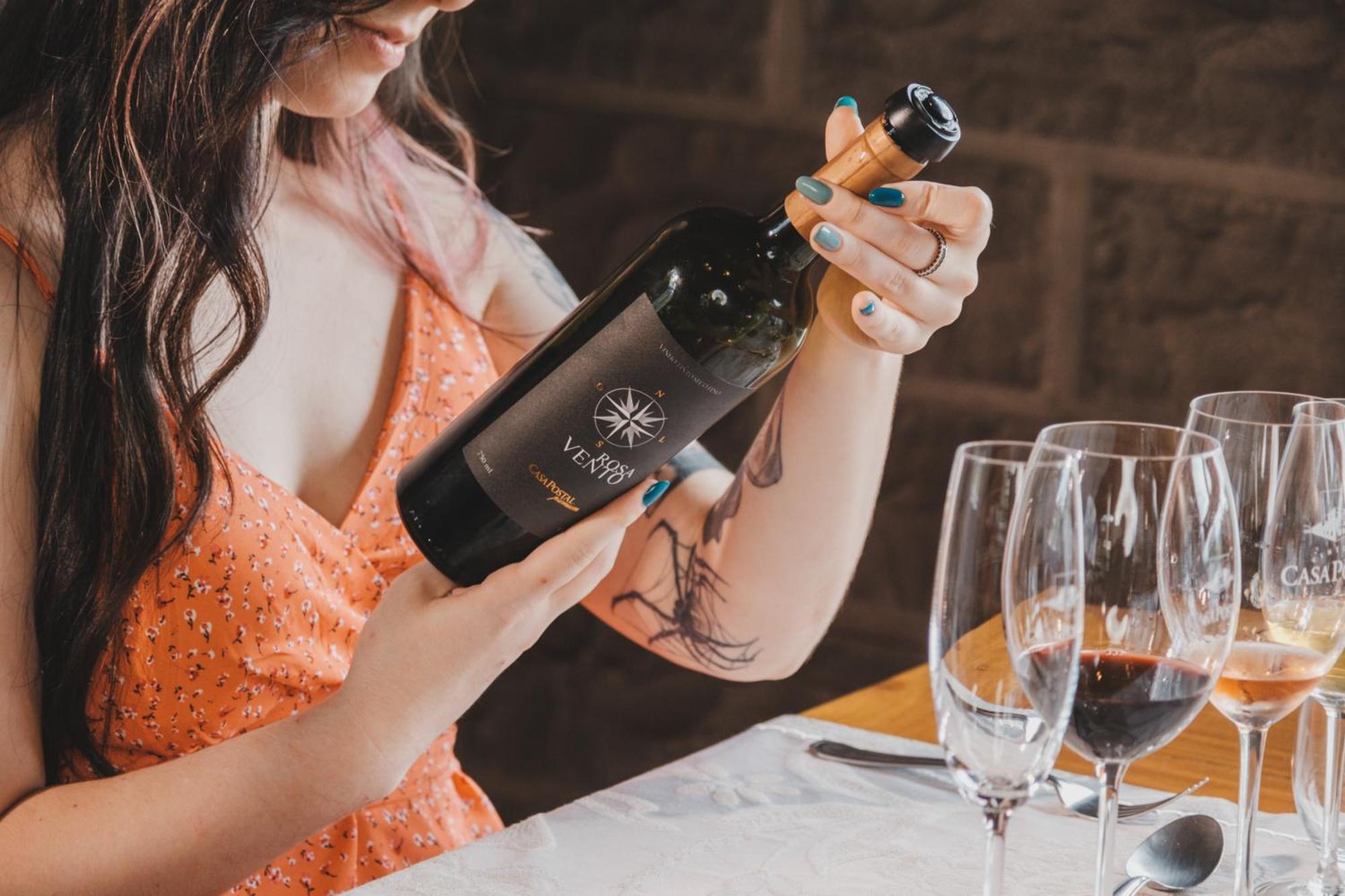 Villa Vinicolla Hospedagem Conceito 벤투곤살베스 외부 사진